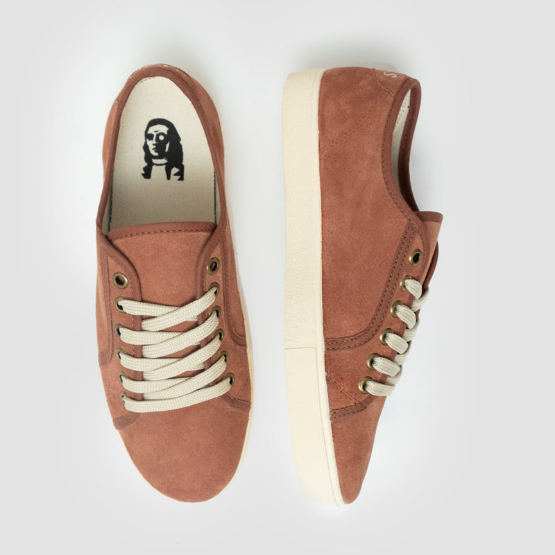 Pack Blas Lezo Terracota + Calcetines Beige