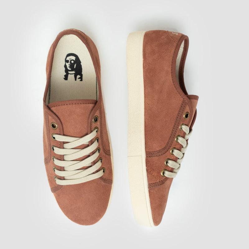 Pack Blas Lezo PV23 Terracota + Calcetines